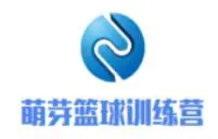利用芳香疗法放松身心,提升篮球训练效果的建议_0